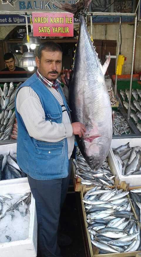 Kilis Ceyhan Balklk