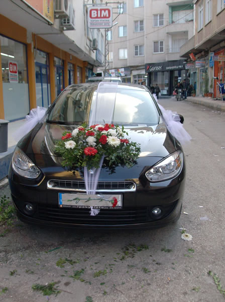 Kilis Deniz Çiçekçilik