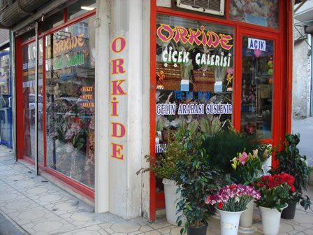Kilis Firma Rehberi - Orkide Çiçek Galerisi