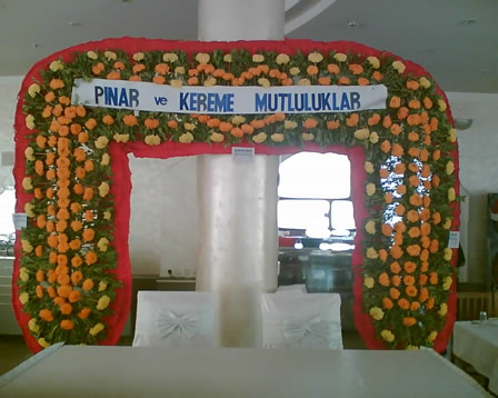 Kilis Firma Rehberi - Orkide Çiçek Galerisi