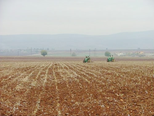Musabeyli Arazi Satışı