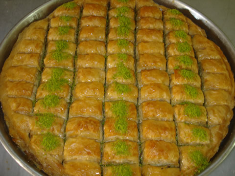 Zerus Pastanesi Kilis