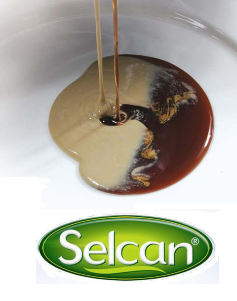 Selcan Helva Tahin İmalatı